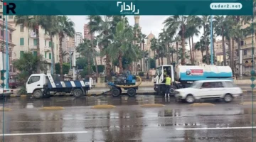 نوة المكنسة.. عاصفة الأمطار والرياح تهدد الإسكندرية خلال 4 أيام قادمة
